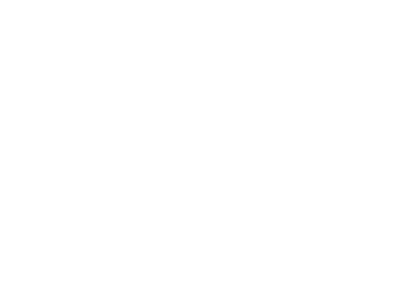 secondary logo